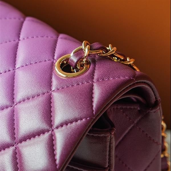 2026131214247703 850